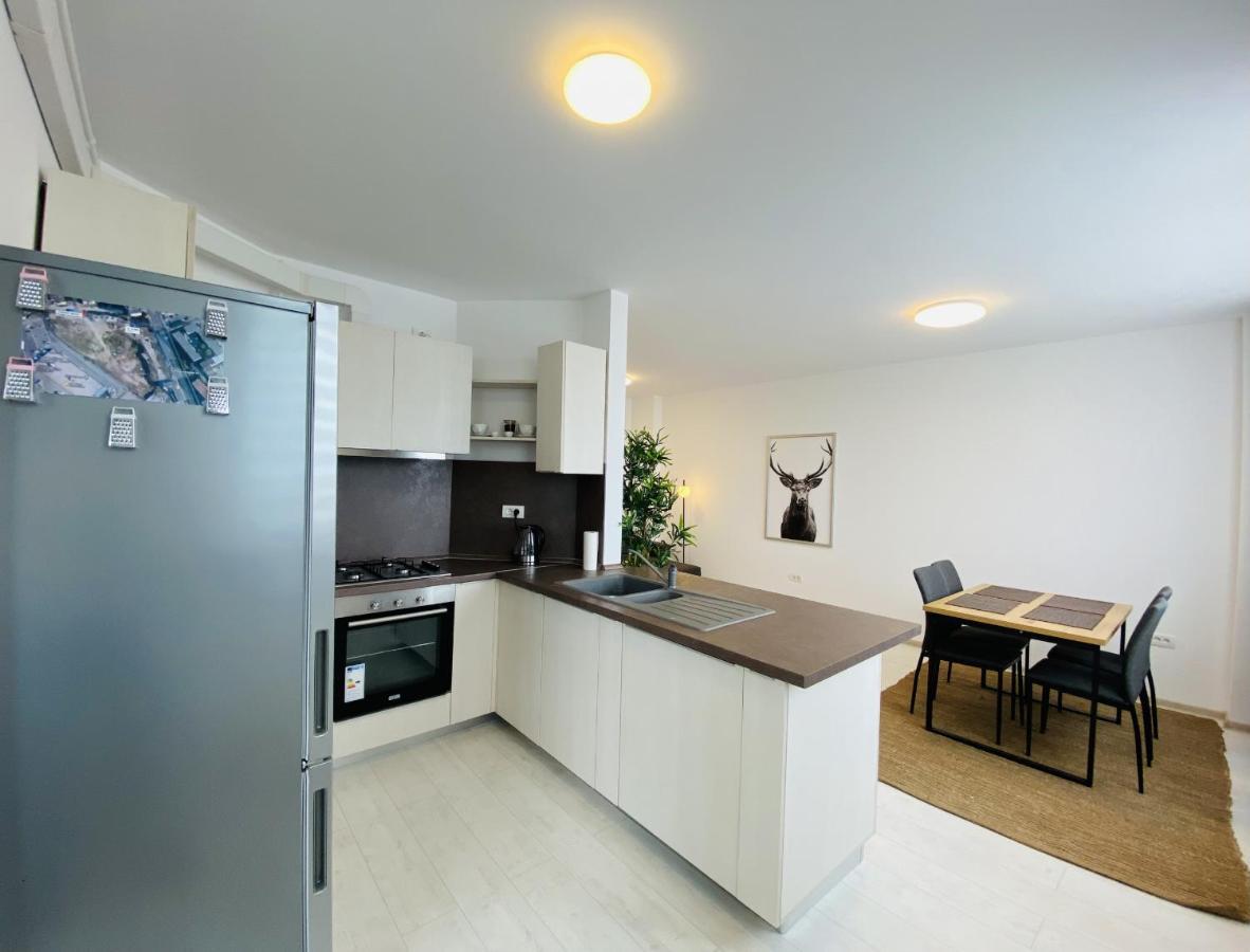 Charming Flat In Brasov With Balcony Panoramic View Διαμέρισμα Εξωτερικό φωτογραφία