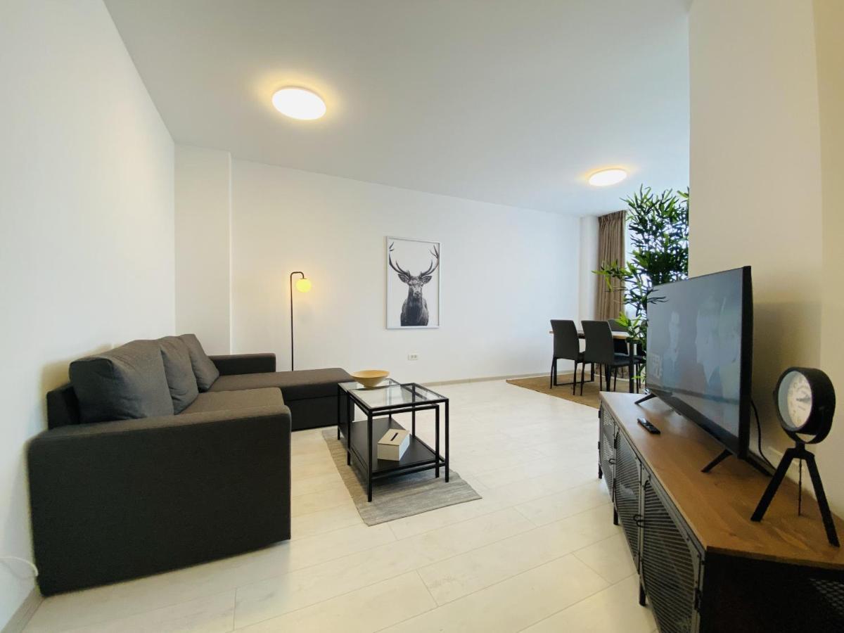 Charming Flat In Brasov With Balcony Panoramic View Διαμέρισμα Εξωτερικό φωτογραφία