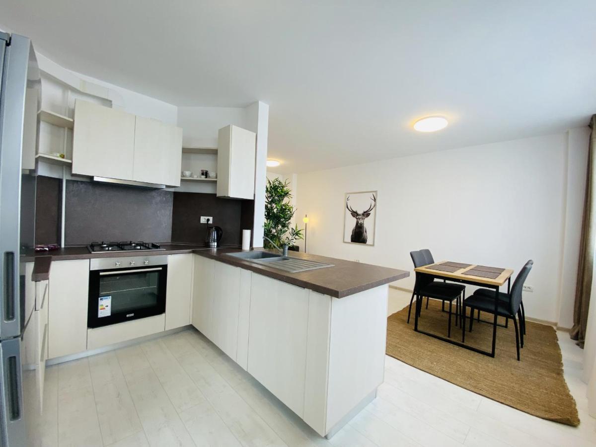 Charming Flat In Brasov With Balcony Panoramic View Διαμέρισμα Εξωτερικό φωτογραφία